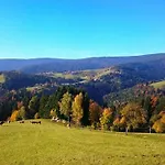 Apartma * Ribnica na Pohorju