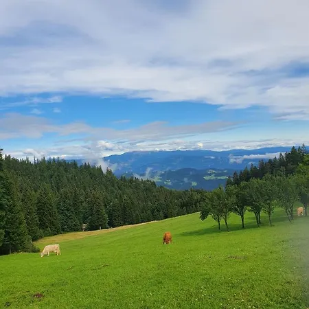 Apartma Ribnica na Pohorju