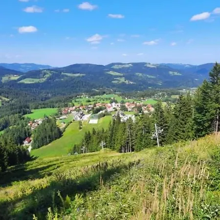 Apartman Apartma Ribnica na Pohorju