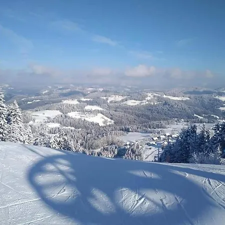 Apartma Apartman Ribnica na Pohorju