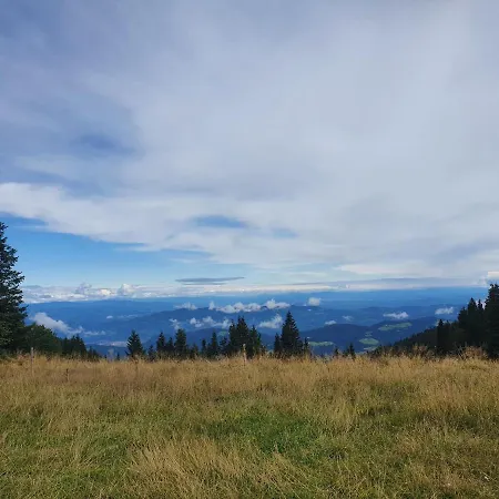 Apartma Appartement Ribnica na Pohorju