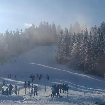 Apartma Ribnica na Pohorju