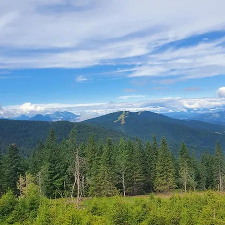 Apartma Ribnica na Pohorju