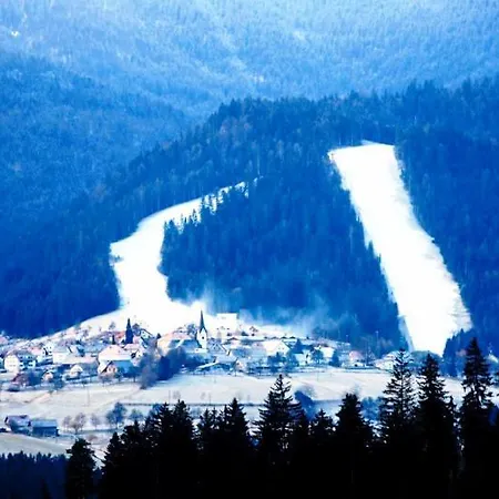 Apartma Appartement Ribnica na Pohorju