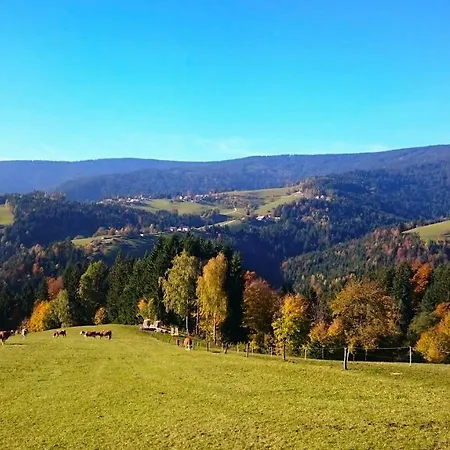 Apartma * Ribnica na Pohorju