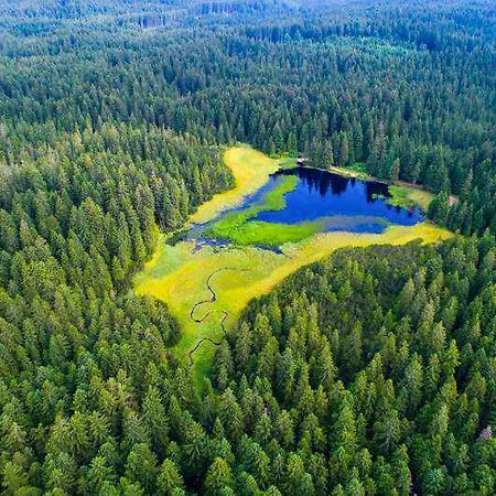 Apartma Apartman Ribnica na Pohorju