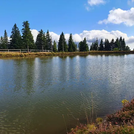 Apartman Apartma Ribnica na Pohorju