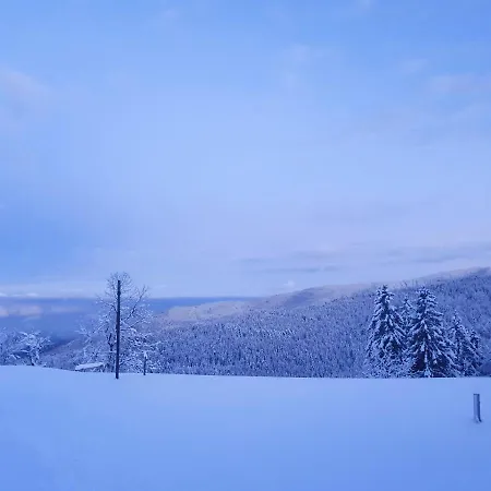 Apartman Apartma Ribnica na Pohorju