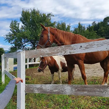 Apartma Ribnica na Pohorju