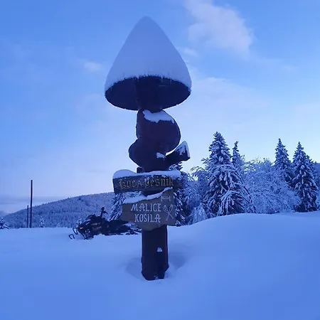 Apartma * Ribnica na Pohorju