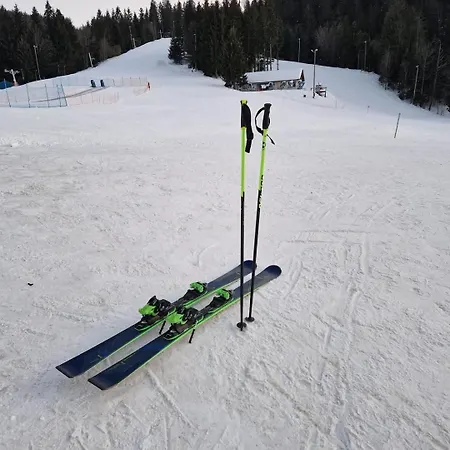 Apartma Ribnica na Pohorju