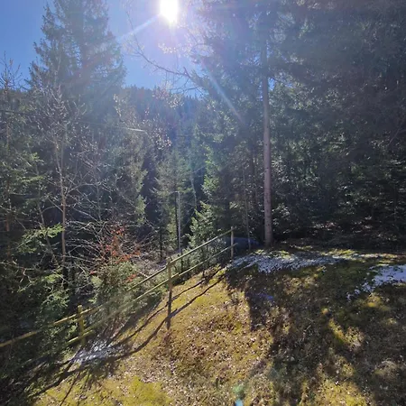 Apartma Ribnica na Pohorju