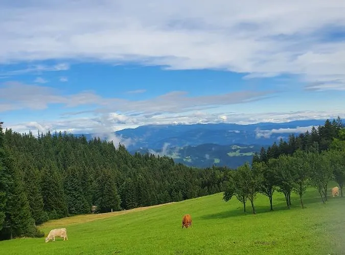 Apartma Ribnica na Pohorju