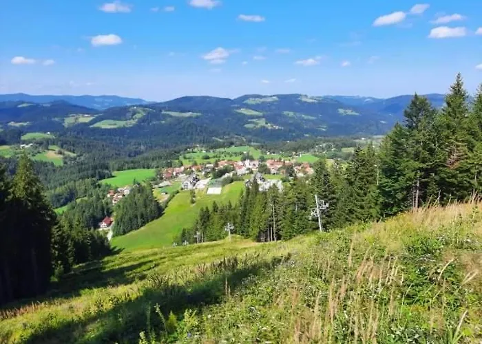 Appartement Apartma Ribnica na Pohorju