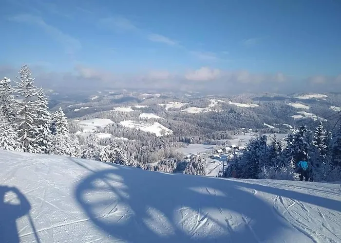 Apartma Appartement Ribnica na Pohorju