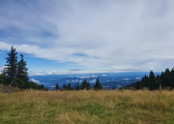 Apartma Appartement Ribnica na Pohorju