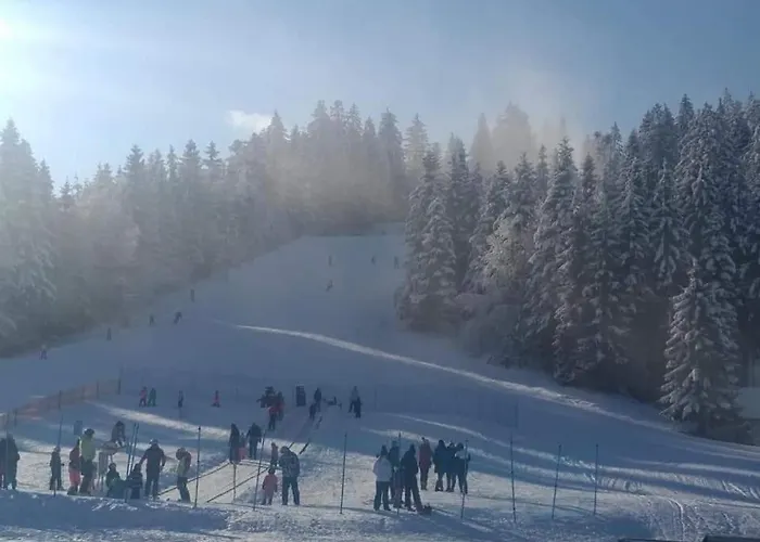 Apartma Ribnica na Pohorju