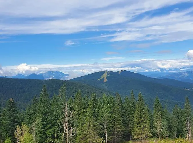 Apartma Ribnica na Pohorju