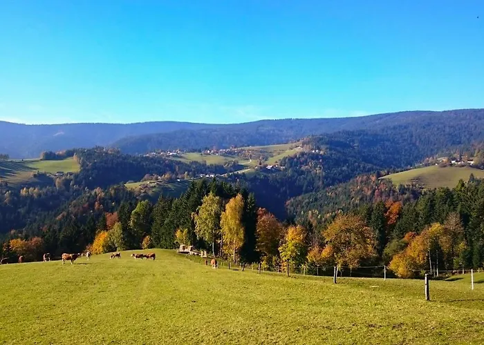 Apartma * Ribnica na Pohorju