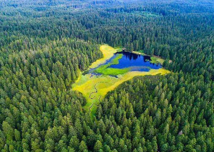 Apartma Appartement Ribnica na Pohorju