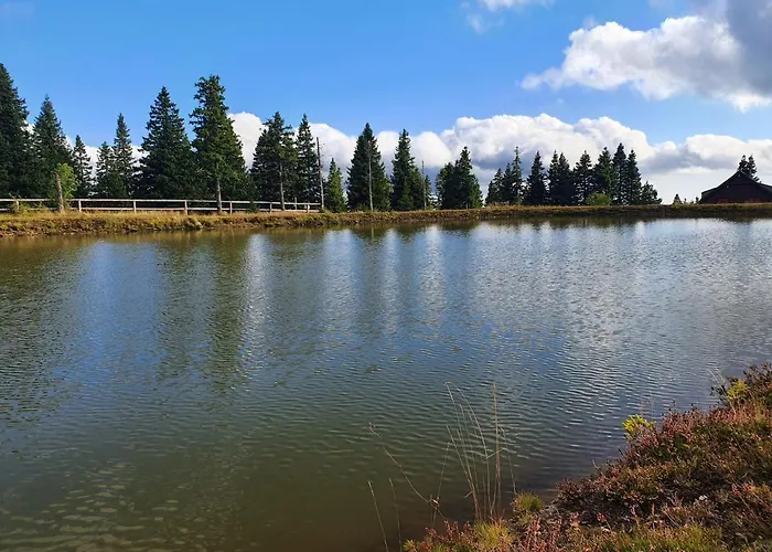 Appartement Apartma Ribnica na Pohorju