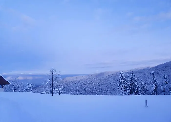 Appartement Apartma Ribnica na Pohorju