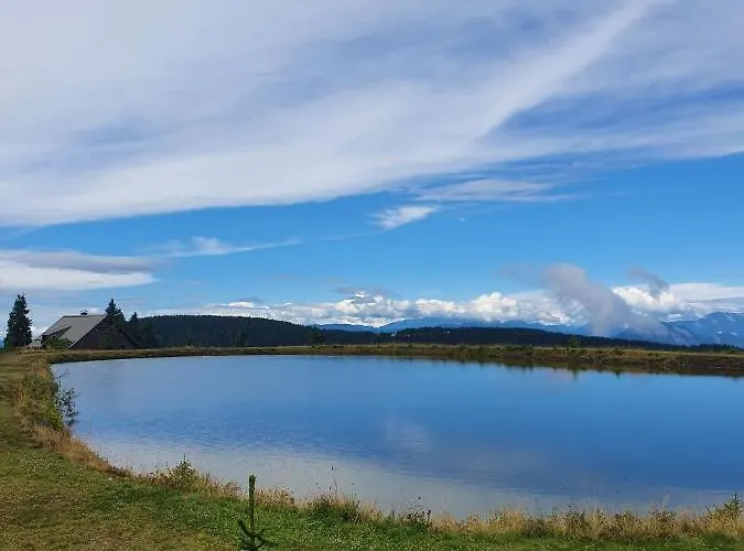 Apartma * Ribnica na Pohorju