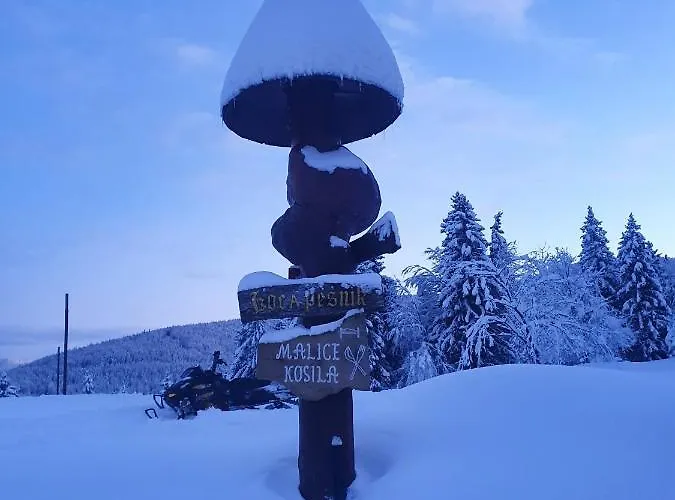 Apartma * Ribnica na Pohorju