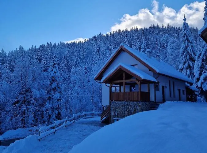 Apartma * Ribnica na Pohorju