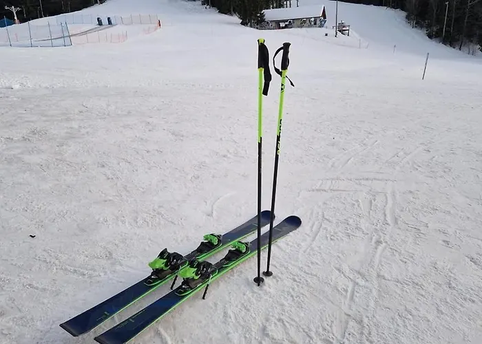 Apartma Ribnica na Pohorju